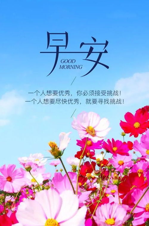 早安句子正能量簡單,早安句子正能量圖文,早安正能量句子和