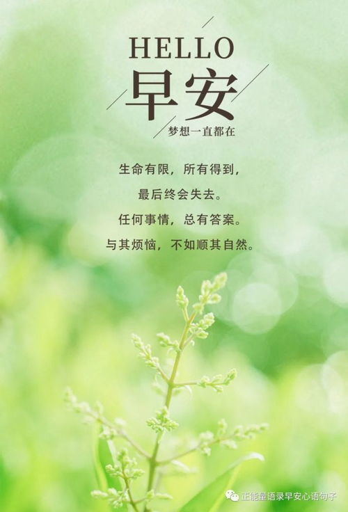 周末愉快的正能量句子,愉快開心正能量的句子,關(guān)于堅(jiān)持的正能量句子