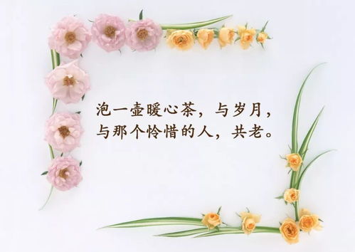 正能量感悟人生的經(jīng)典句子,忙碌感悟人生正能量句子,感悟人生正能量勵(lì)志句子