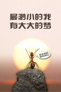 早晨正能量的句子簡短