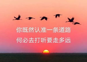 新的一年正能量句子簡短,新的一年正能量句子,新的一年正能量句子英文