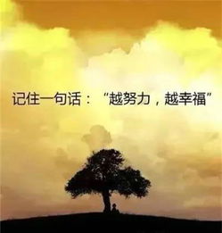 正能量勤奮努力的句子