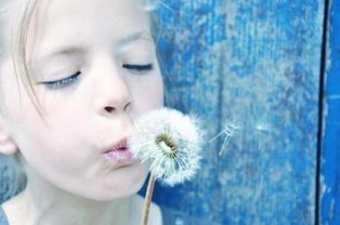 護(hù)膚品,句子,能量