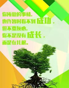女孩陽(yáng)光正能量的句子英文