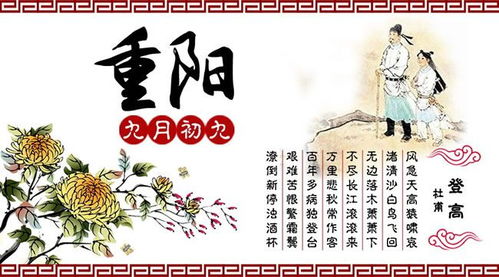重陽節(jié),孝順,句子,能量