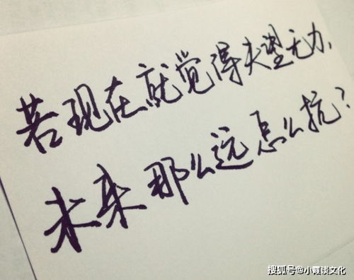 女人正能量生活句子說說心情短語