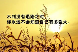 充滿正能量的句子,正能量禪意句子,有沖勁的正能量句子