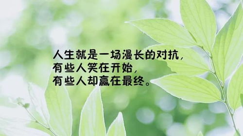 發(fā)圈吸引人的句子早安正能量