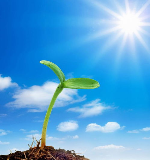 關(guān)于堅(jiān)強(qiáng)的正能量句子說說心情短語