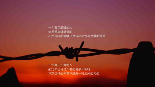 雨天幽默正能量的句子,清晨勵志正能量的句子,拼搏努力正能量的句子