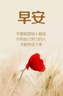 剪發(fā)正能量的話語短句子