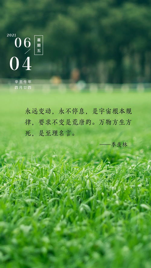 上午好的正能量的句子,上午發(fā)的正能量句子,上午發(fā)圈的正能量句子
