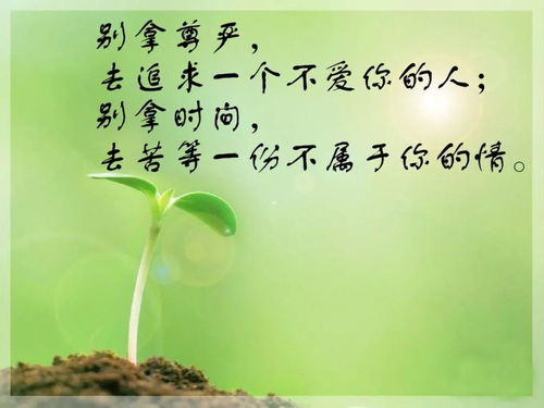 一個人正能量的句子說說心情短語,正能量的句子說說心情短語,感謝正能量的句子說說心情短語