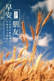 早安,句子,能量,企業(yè)