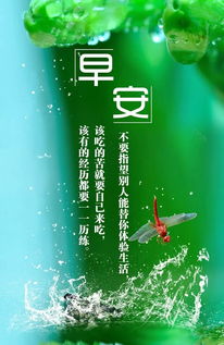 激勵(lì)正能量的句子,晚安激勵(lì)正能量的句子,激勵(lì)人生的正能量句子