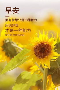 早安,句子,勵(lì)志,心語