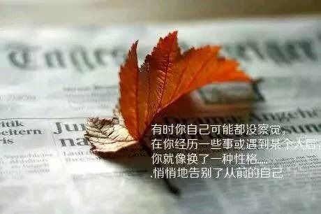 奮發(fā)向上,古語,句子,能量
