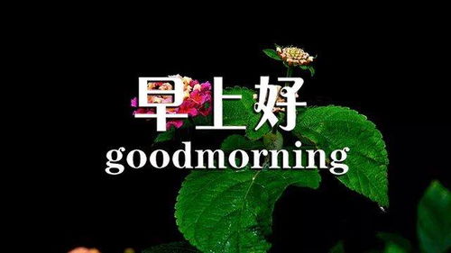 下雨正能量的句子朋友圈,早上滿滿的正能量句子,下雨早安語錄正能量的句子