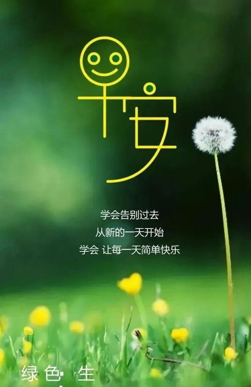 句子,能量,美好,開心