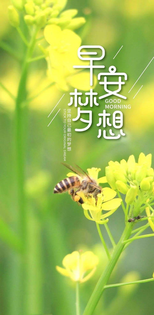 早上好勵(lì)志正能量句子簡短