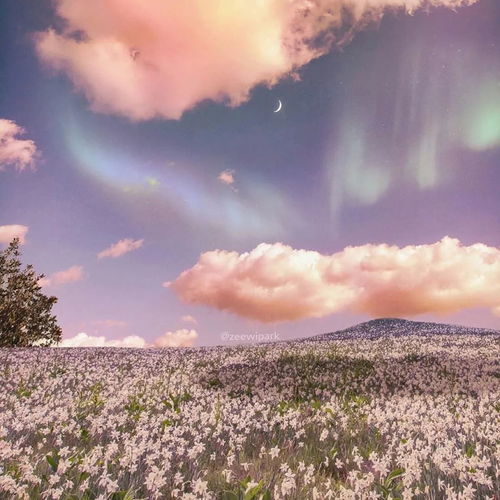 發(fā)往朋友圈正能量的句子