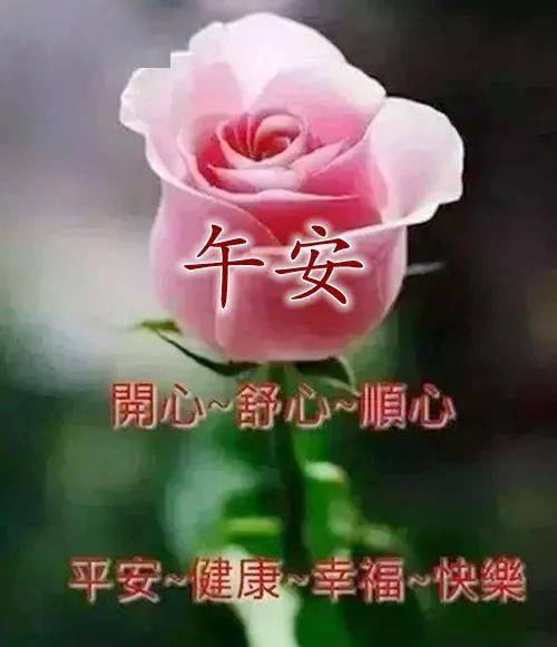 午安心語正能量句子,午安正能量句子勵(lì)志,午安問候語正能量句子