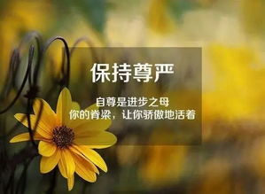 能量,句子
