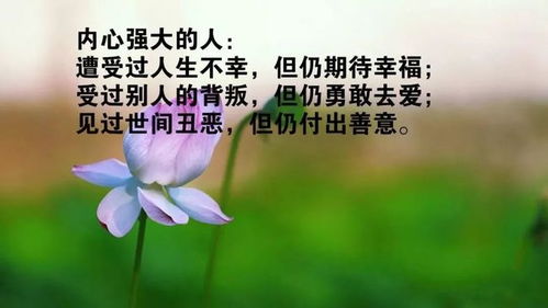 2021早安正能量句子勵(lì)志,2021工作勵(lì)志的句子正能量,2021新年勵(lì)志正能量的句子