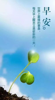 早安勵志正能量句子簡短