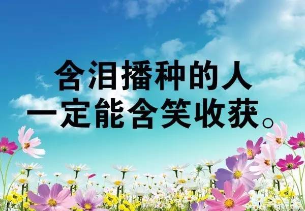 激勵班級正能量的句子,班級積極向上正能量的句子,班級團(tuán)隊精神正能量的句子