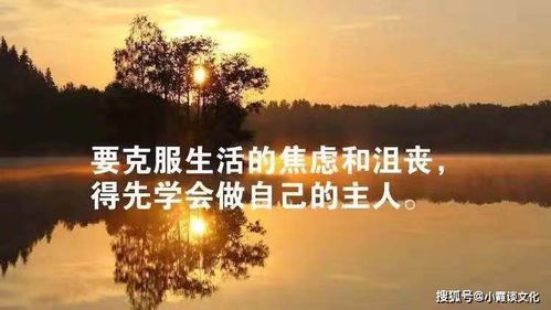 鼓勵女人獨立的正能量句子說說,生活的句子說說心情正能量,女人生活正能量的句子