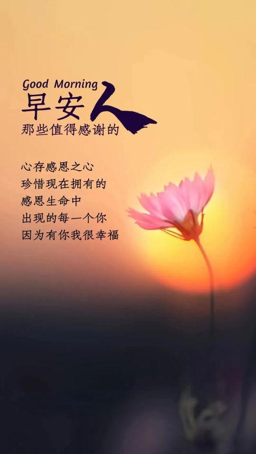 句子,語句,勵志,能量