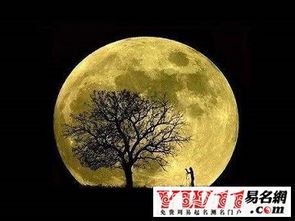 中秋節(jié),句子,能量