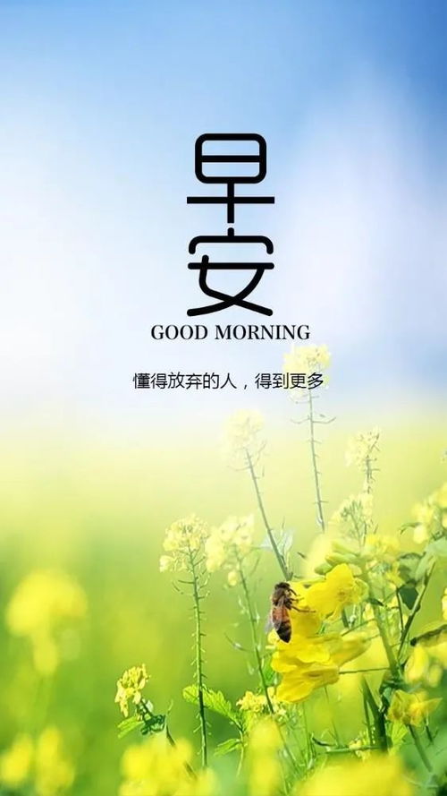 努力奮斗正能量的句子,努力奮斗的朋友圈正能量的句子,努力奮斗早安正能量的句子