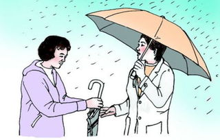 句子,雨天,能量,出門