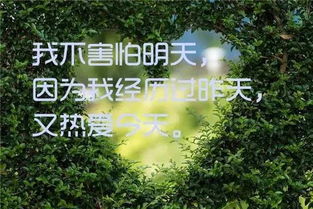 開(kāi)車(chē)時(shí)的正能量句子