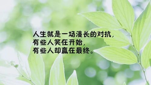 發(fā)圈正能量句子