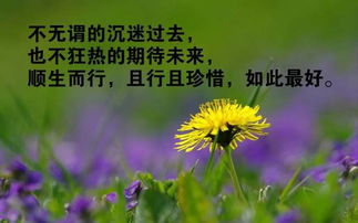 鼓勵新同學(xué)正能量句子