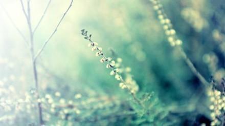 團(tuán)隊(duì)充滿正能量的句子簡短