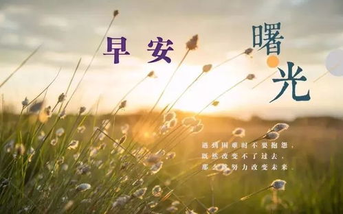 周一下班心語正能量句子,周一早安心語正能量句子,勵志奮斗正能量的句子