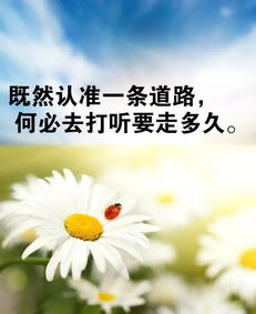 關于成長正能量句子
