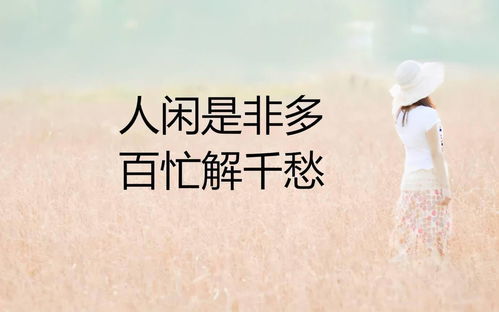 學琴正能量句子