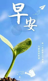 句子,朋友圈,能量,開心