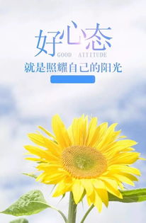 早上激勵(lì)的正能量的句子和,早上激勵(lì)團(tuán)隊(duì)正能量的句子,早上激勵(lì)正能量的句子八個(gè)字