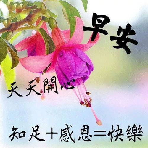 問(wèn)候早安的正能量激勵(lì)句子,朋友圈問(wèn)候早安的正能量句子,早上問(wèn)候的句子正能量