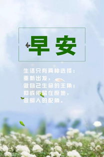 句子,勵(lì)志,能量,商場(chǎng)