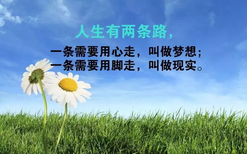 高考,人心,句子,激勵