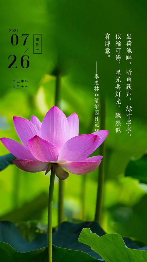 早安,句子,語錄,能量