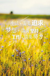 清晨簡短勵志的話正能量句子