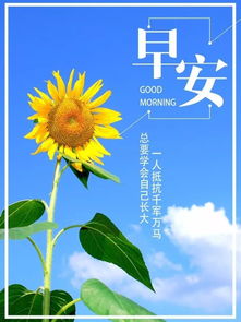 早安正能量句子早安勵(lì)志句子短句子